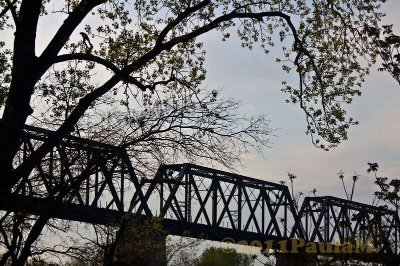 Shelbey Bottoms greenway