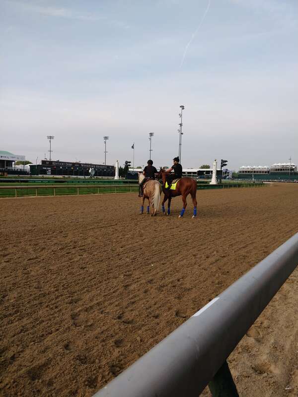 Pre kentucky Derby Workout - Solomini

Feel free to use this photo however you like, just attribute &amp;lt;a href=&quot;https://atthepaddock.com&quot; rel=&quot;nofollow&quot;&amp;gt;atthepaddock.com&amp;lt;/a&amp;gt;. Thanks!