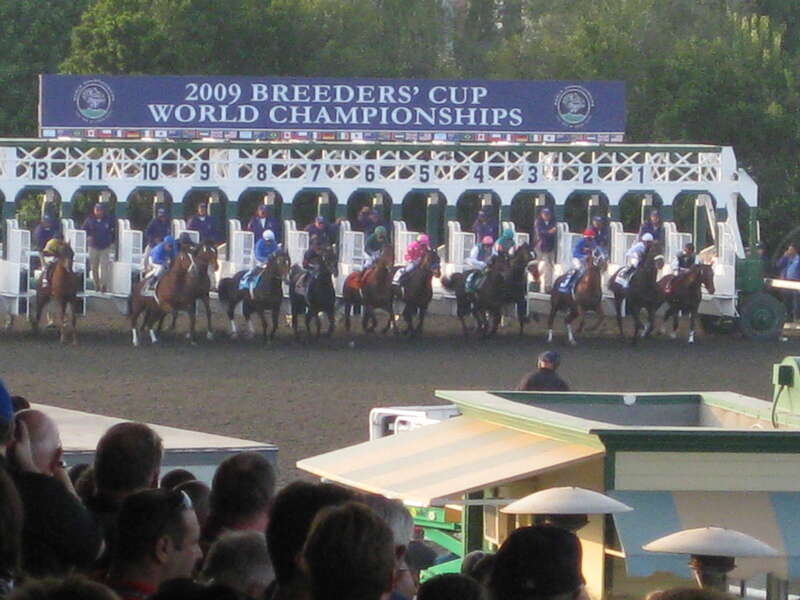 They're off! Zenyatta broke poorly and trailed the field in dead last position for the majority of the race.

Effortlessly uploaded by Eye-Fi