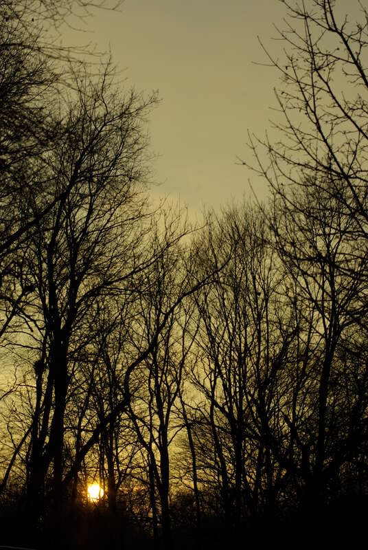 Sunset in Fenner Arboretum (Lansing, Michigan) on Christmas