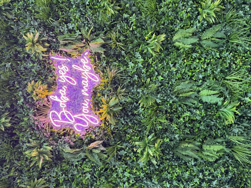 Sweet Straw in Sonoma, California