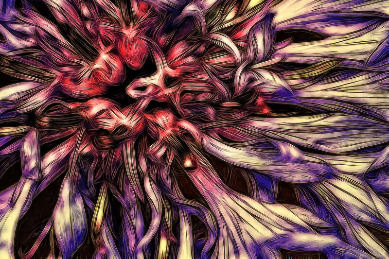 500px provided description: Abstraction of a blossom. [#red ,#macro ,#abstract ,#purple ,#lines ,#blossom ,#jazz ,#fractal ,#cc ,#attribution ,#Flower ,#FinePix HS10 ,#sakura500px]