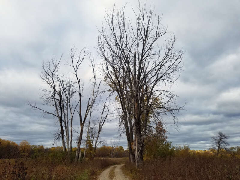 Minnesota Valley National Wildlife Refuge, Shakopee, Minnesota