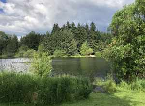 Bradley Lake Park (Puyallup, Washington)