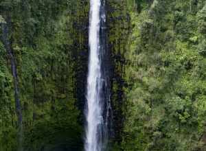 
500px provided description: Akaka Falls: Big Island, Hawai'i; December 2015 [#nature ,#waterfall ,#hawaii ,#tropics ,#hawai'i]