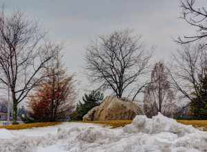 Arlington Heights, IL, USA