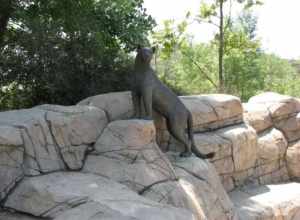 Bronze Cougar at MTRP Visitors Center