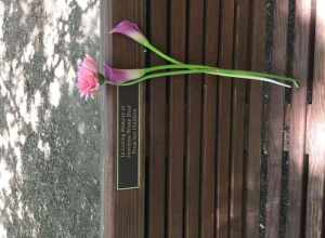 In Loving Memory of
Janeanne Braun Doar
&gt;From her Children