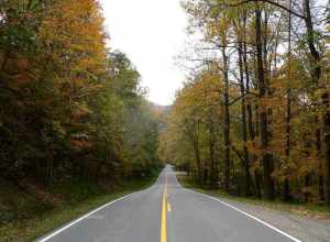 Hwy. 16 near Cotton Hill between Gauley Bridge and Fayetteville in Fayette County, WV.Photo taken with a Panasonic Lumix DMC-FZ20.