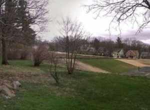 Crane Park