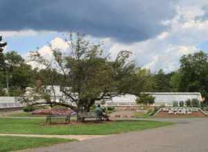 The greenhouse and herb garden at Elizabeth Park in West Hartford, Connecticut