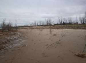 Site where a foredune was destroyed by shelf ice and wave action, at Lake Street Beach on Lake Michigan in Gary, Indiana.