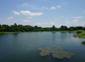 The pond at Frisco Commons in Frisco, Texas (United States).