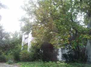 George Coulter House