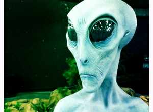 Gray Alien at UFO Museum, Roswell