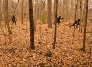 Guilford Courthouse NMP