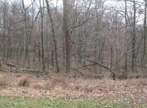 Hills in Mount Airy Forest, located off Colerain Avenue in Cincinnati, Ohio, United States.  The forest is listed on the National Register of Historic Places.