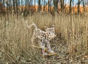 Hubbard Park Festival of Silver Lights 20181229 Big Cat