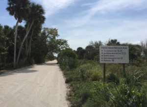 Jungle Trail in the Pelican Island National Wildlife Refuge on Orchid Island, Indian River County, Florida.