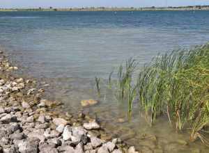 Lake Pflugerville located near Pflugerville, Texas, United States.