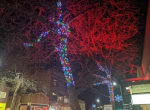 Lighted trees downtown.