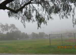 Monterey Park, CA, USA