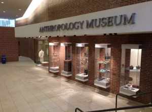 NIU Anthropology Museum in Cole Hall, November 2013