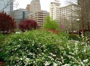 Oklahoma City, OK - Myriad Botanical Garden
