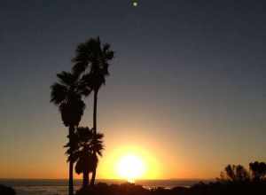 Palm Trees and Star
