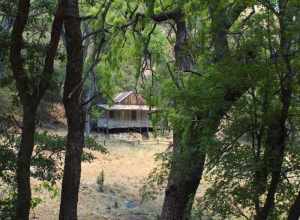 Saturday May 11, 2013 at the Ramsey Canyon Preserve.