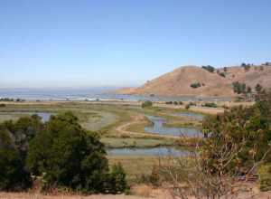 Salt marsh with the Coyote Hills serving as backdrop.