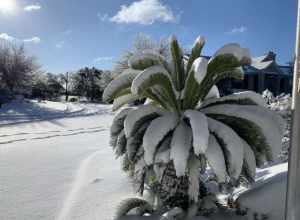 Cedar park Texas winter storm 2021