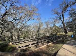 Picnic area at Spring Lake Regional Park