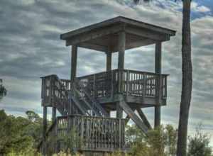 The Fort