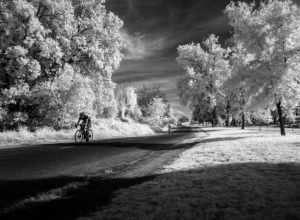 “Not I, nor anyone else can travel that road for you.
You must travel it by yourself.
It is not far. It is within reach.
Perhaps you have been on it since you were born, and did not know. 
Perhaps it is everywhere - on water and land.” 

― Walt