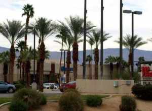 View of the main street entrance of the Westfield Palm Desert shopping mall with the Sears department store anchor in the background.  
View from southbound lane of CA SR 111, looking north northwest.
This photograph was taken with an Olympus E-510