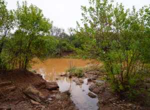 The Wichita River in Wichita Falls, Texas (United States).