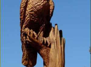 (1 in a multiple picture set)
At the top of the amazing carving (see previous picture) and eagle keeps watch over the hills and orchards.