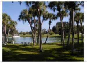 Photograph of Warm Mineral Springs, North Port, Florida