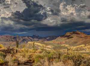 Arizona, United States