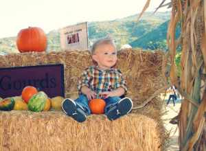 The Little Gourd