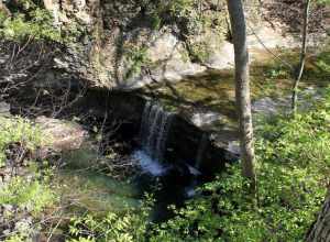 Photograph taken in Franklin County, Ohio. See categories for more information.