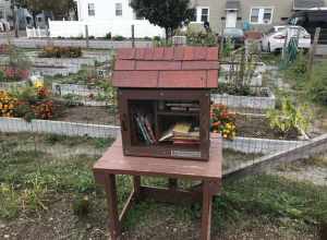 Little Free Library, Malden Massachusetts