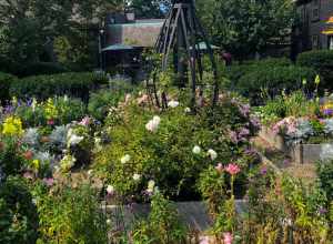 House of Seven Gables