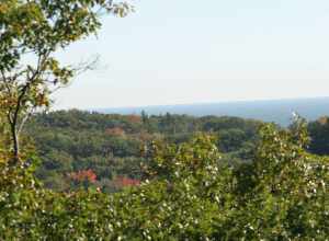 View South out of the Block House lookout tower in Muskegon State Park. Oct. 2007