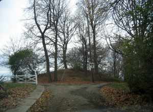 View from the north of the Norwood Mound, located in Water Tower Park off Mound Avenue in Norwood, Ohio, United States.  Built by people of the Adena culture, the mound is an archaeological site and listed on the National Register of Historic Places.