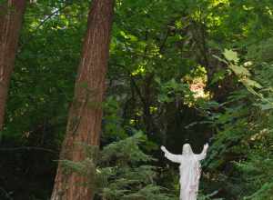 The Grotto is located in eastern Portland, and is intended as a place of reflection and prayer.

There are two areas at the Grotto: the lower area, where one can walk through a sculpture garden themed after the life of Jesus as well as visiting a