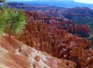 hoodoos in the Bryce Canyon National Park.