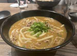 Udon in curry with meat