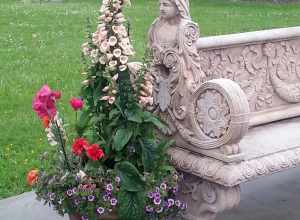 Flowerpot with foxgloves and casted resin bench in City Hall Park in Ferndale, California.